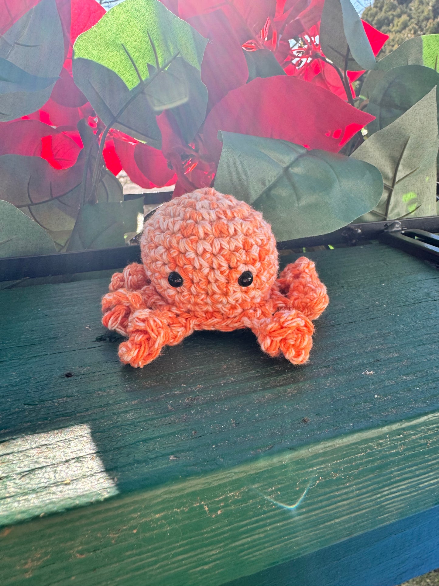 Octopus Buddy